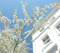 Property News London