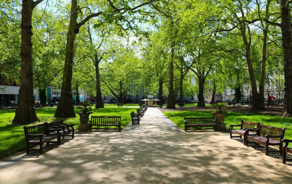 Best areas for renting in London before buying: Berkeley Square, Mayfair