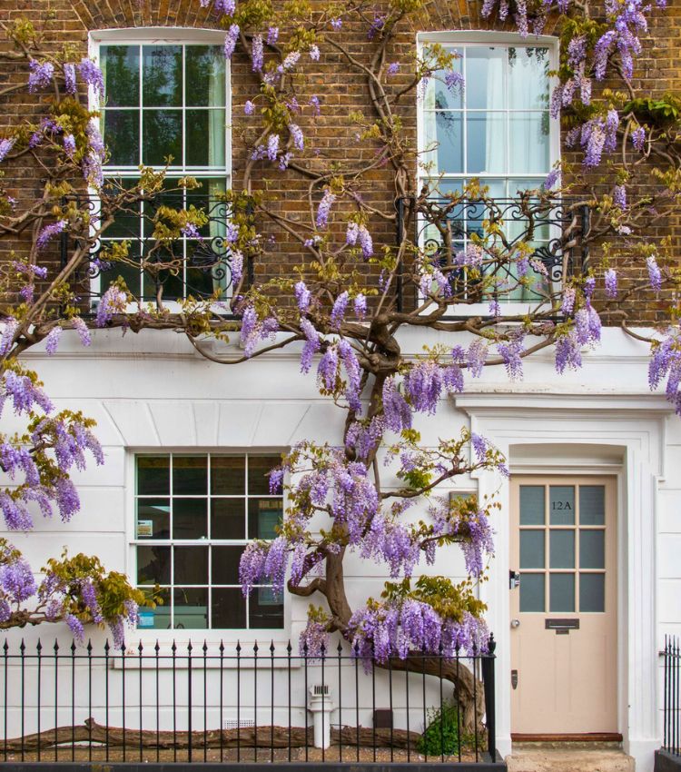 Property in Chelsea, London