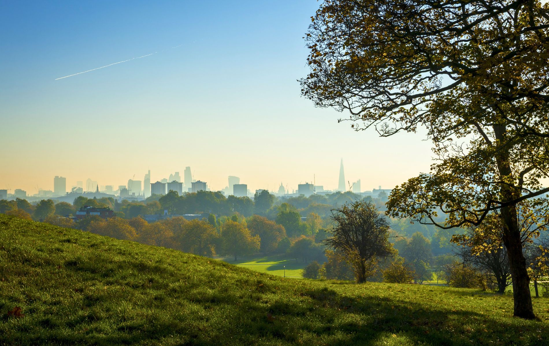 Green Spaces in London - Primrose Hill