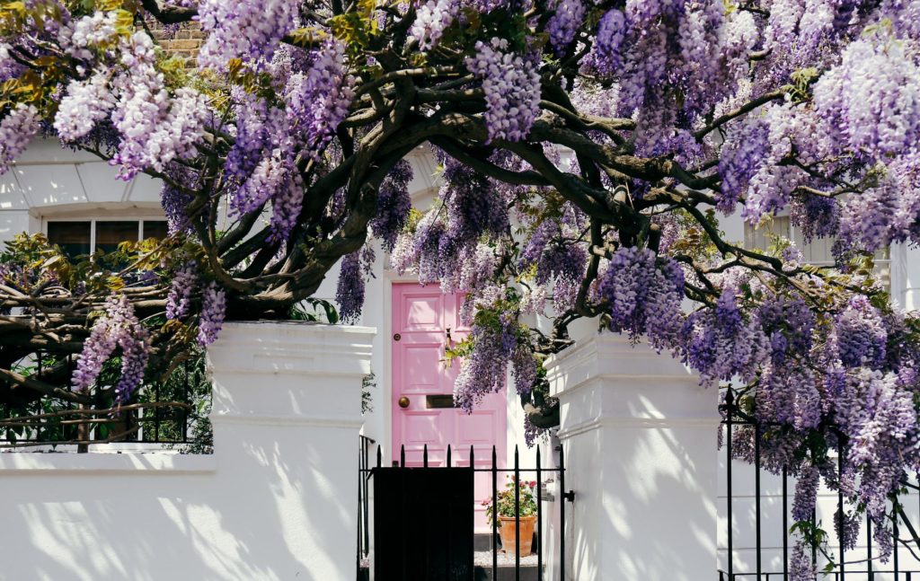 Where to live in Notting Hill