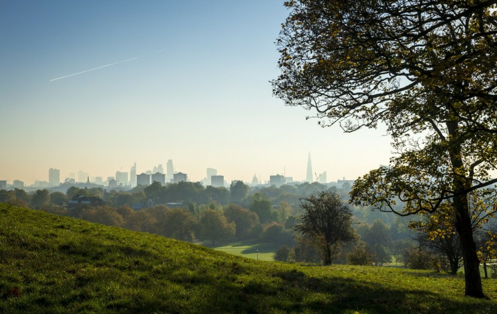 Primrose hill outdoor space